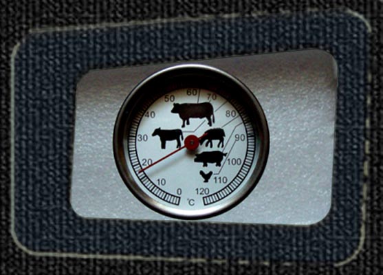 Fleischthermometer